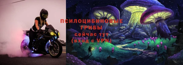 твердый Алексин