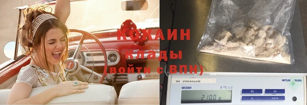 твердый Алзамай