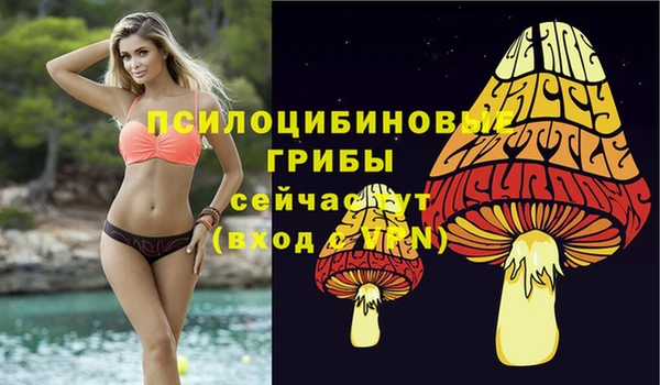 твердый Алексин