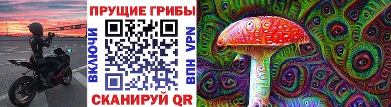 Галлюциногенные грибы мицелий  продажа наркотиков  Полысаево 